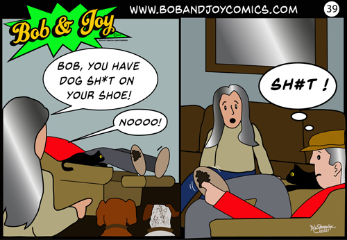 bob and joy comics
