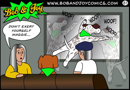 bob and joy comics