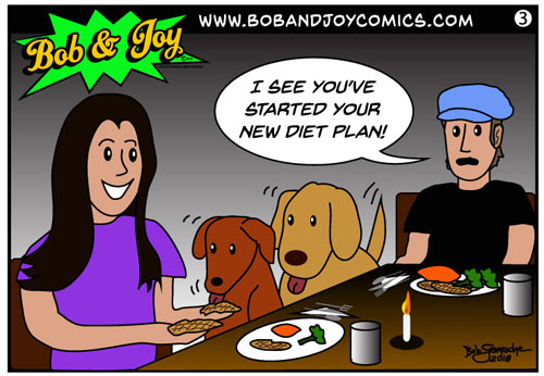 bob and joy comics